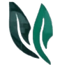Best Traditional Medicine Doctor in Mashhad _ Specialized Treatment with Herbal Remedies & Acupuncture
